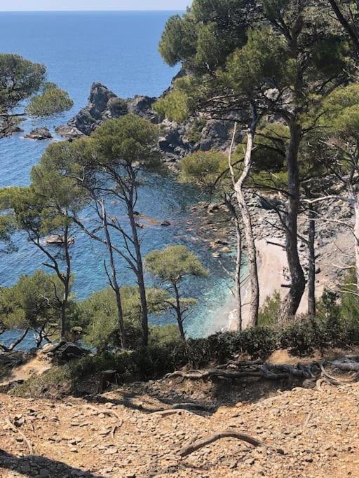Petite Endroit Splendide. Διαμέρισμα Six-Fours-les-Plages Εξωτερικό φωτογραφία