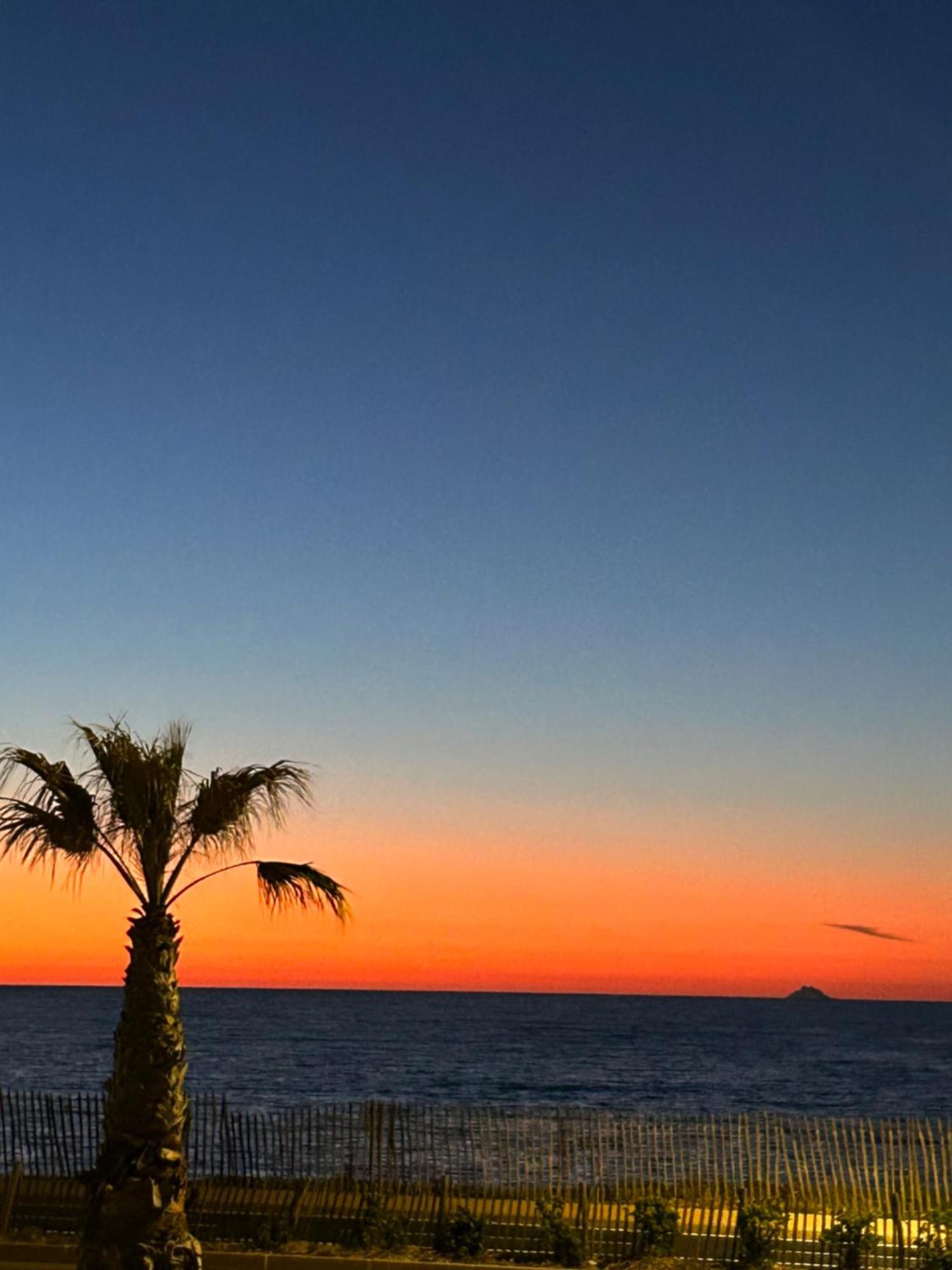 Petite Endroit Splendide. Διαμέρισμα Six-Fours-les-Plages Εξωτερικό φωτογραφία