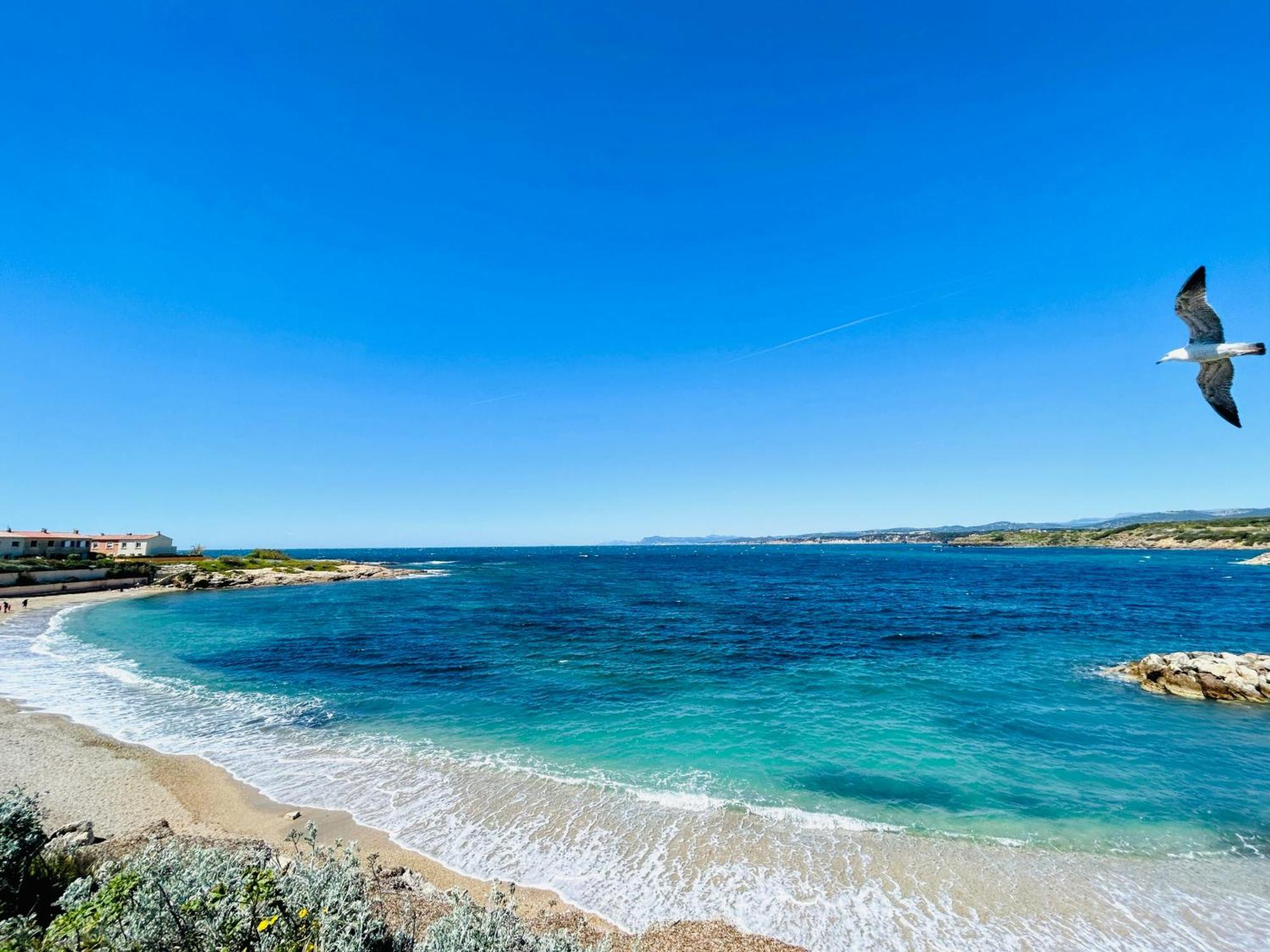 Petite Endroit Splendide. Διαμέρισμα Six-Fours-les-Plages Εξωτερικό φωτογραφία